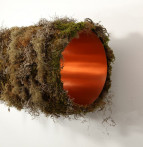 Der Name des Bildes ist GerullisNatureUnlimitedHPart.museum6-4-025.jpg Bild